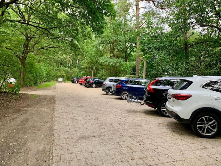Veluwse Wolf: Natuurlijk Genieten! Otterlo Exterior foto
