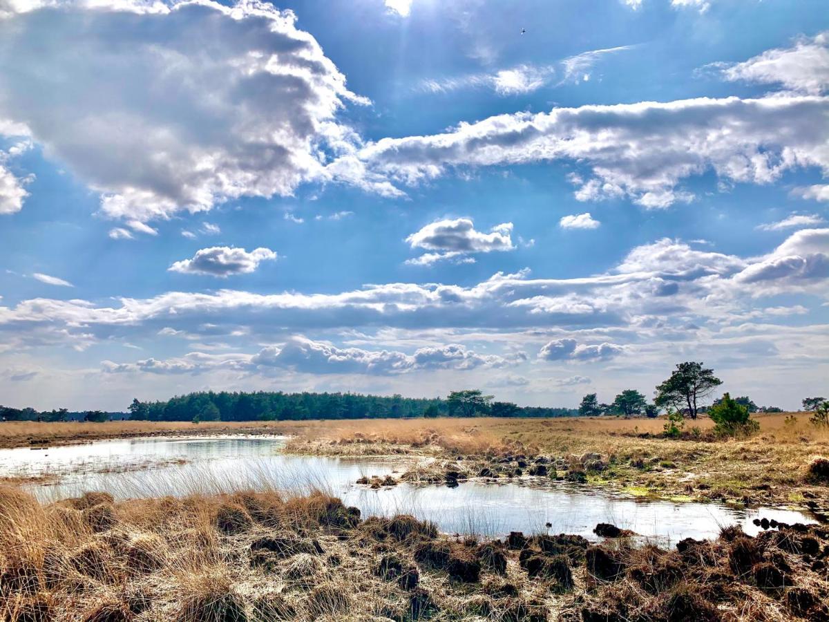Veluwse Wolf: Natuurlijk Genieten! Otterlo Exterior foto